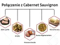 Cabernet Sauvignon jakie to wino? Idealne do steków z grilla, pieczonej kaczki, grzybów, dań wegetariańskich i starzonych serów.