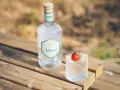 Butelka ginu Anaë i szklanka z lodem i pomidorkiem. Ten gin z Francji, z czego jest gin? Z natury.