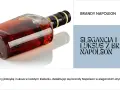 Elegancka butelka brandy Napoleon. Jak pić ten szlachetny trunek? Odkryj klasykę i luksus w każdym kieliszku.