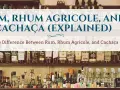 Różne rodzaje alkoholu z trzciny cukrowej: rum, rhum agricole i cachaça. Półki pełne butelek.