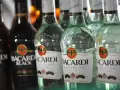 Rzędy butelek Bacardi, w tym Bacardi Black i Bacardi Superior. Bacardi to znany alkohol, rum.