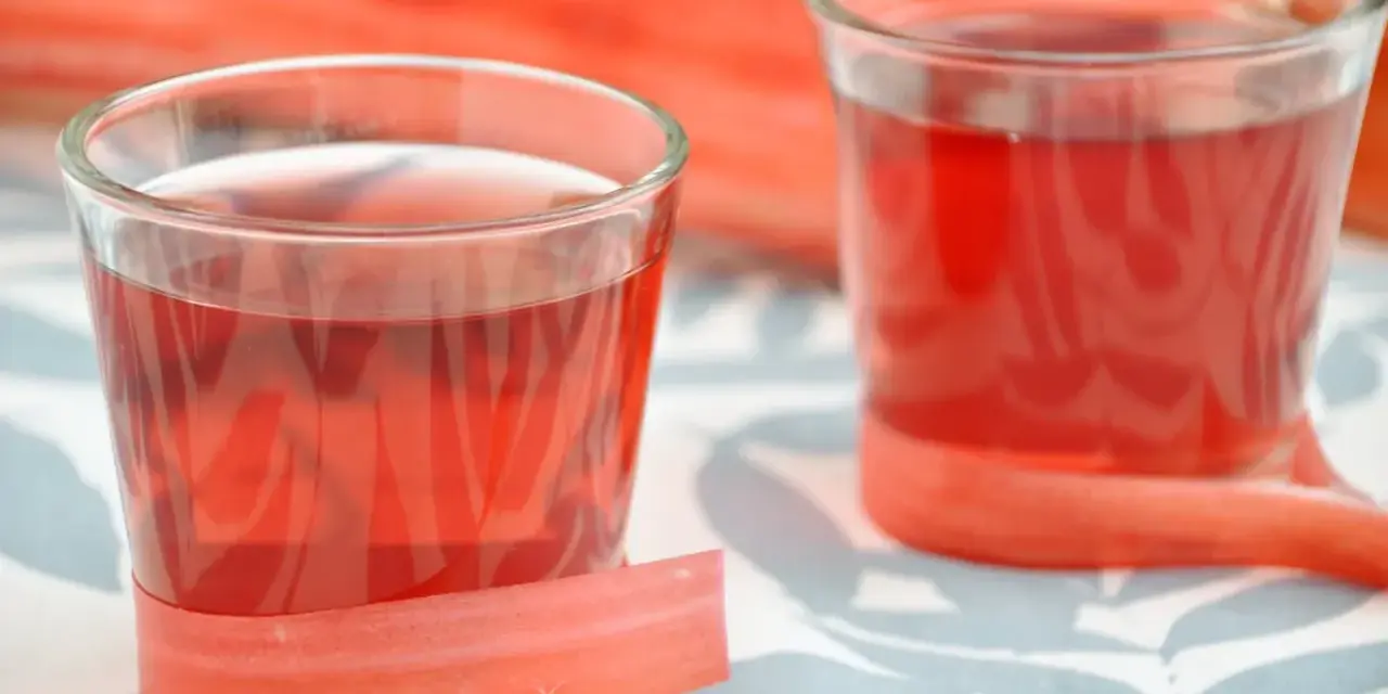 Dwa kieliszki z rubinową nalewką z rabarbaru, ozdobione łodygami tej rośliny.
