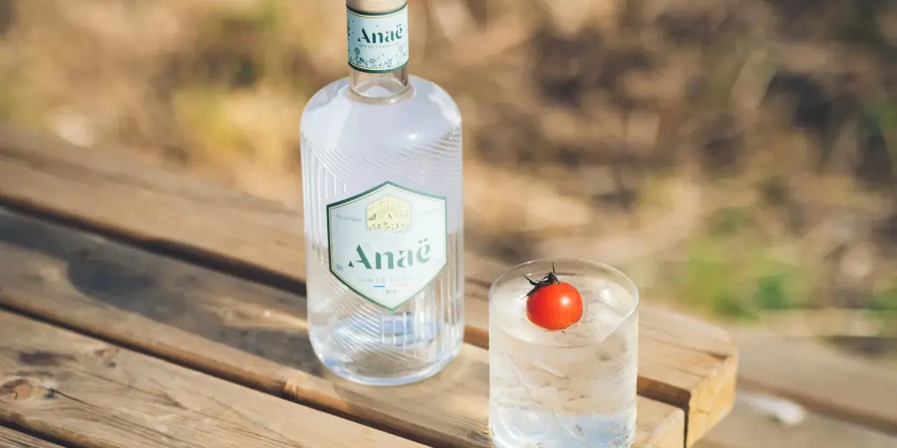 Butelka ginu Anaë i szklanka z lodem i pomidorkiem. Ten gin z Francji, z czego jest gin? Z natury.