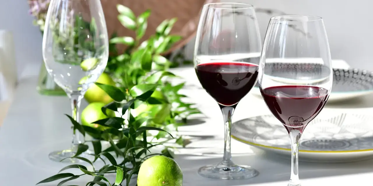 Dwa kieliszki z czerwonym winem, zielone limonki i gałązki tworzą elegancką kompozycję. Idealna sceneria, by dowiedzieć się, jak pić porto.