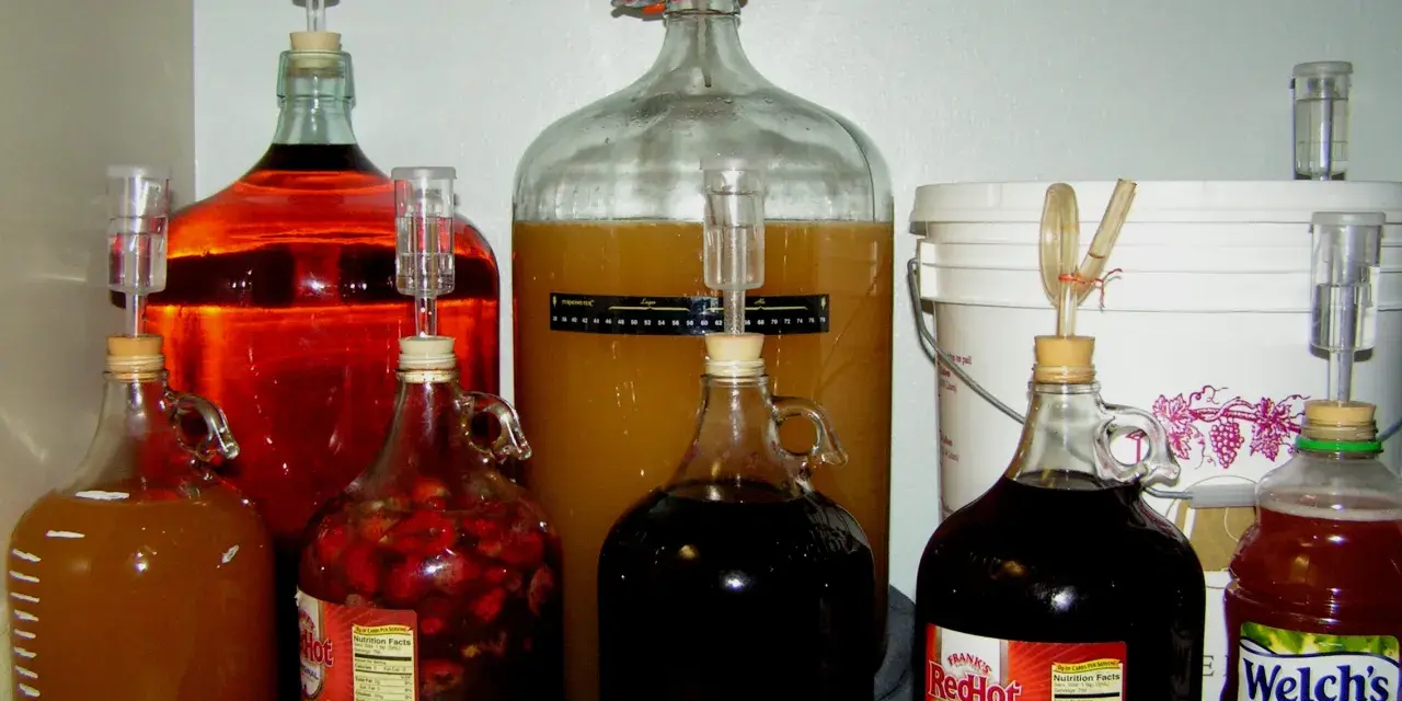 Wiele butli z płynami do fermentacji, w tym z owocami i sokiem winogronowym. To inspiracja, jak zrobić wino proporcje.