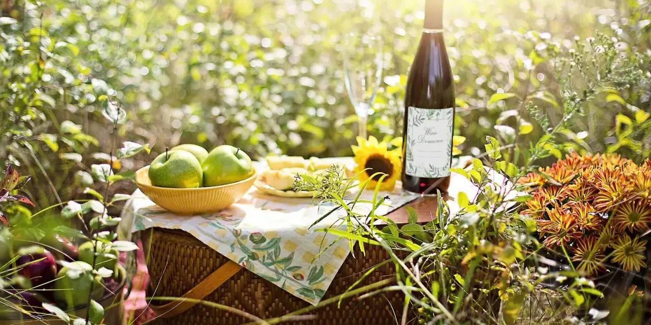 Piknik z jabłkami i butelką domowego wina. Idealny przepis na wino z jabłek 10l.