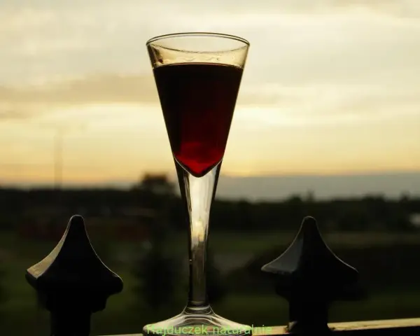 Nalewka z wiśni drylowanych w kieliszku na tle zachodzącego słońca. Ciemnoczerwony płyn lśni w szkle, zapraszając do degustacji.