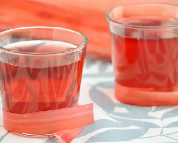 Dwa kieliszki z rubinową nalewką z rabarbaru, ozdobione łodygami tej rośliny.