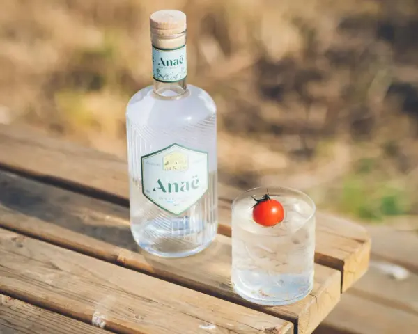 Butelka ginu Anaë i szklanka z lodem i pomidorkiem. Ten gin z Francji, z czego jest gin? Z natury.