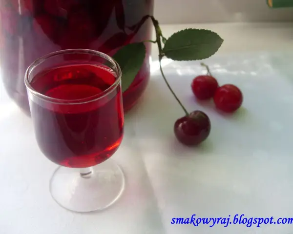 Szklaneczka nalewki z wiśni, obok świeże owoce i gałązka. Pyszny alkohol z wiśni.