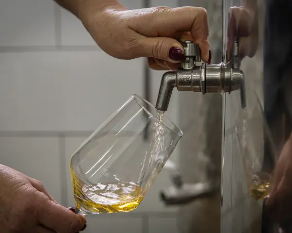 Dłoń nalewa złocisty płyn do kieliszka. To może być początek tworzenia domowego miodu pitnego, zgodnie z tradycyjnym przepisem.