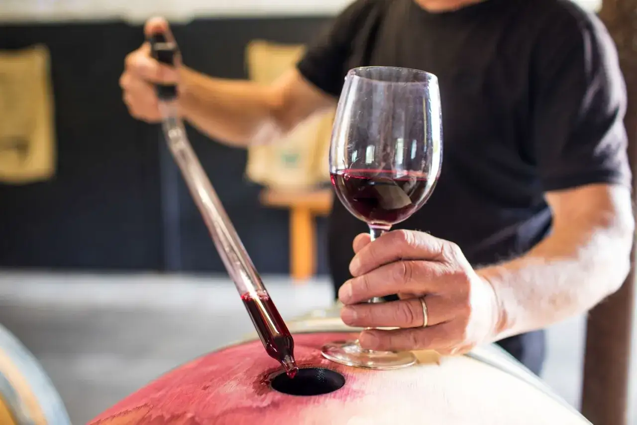 Degustacja wina. Cabernet Sauvignon, jakie to wino? Ciemnoczerwony trunek pobierany pipetą z beczki do kieliszka.