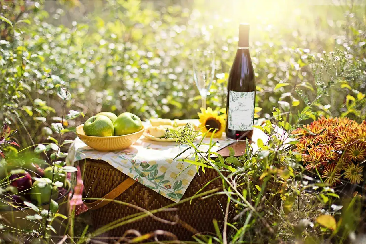 Letni piknik z jabłkami i domowym winem. Może to przepis na wino z jabłek 10l?
