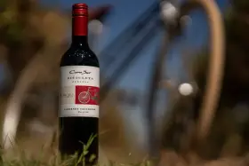 Butelka wina Cabernet Sauvignon z rowerem na etykiecie, stojąca na trawie.