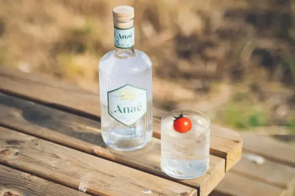 Butelka ginu Anaë i szklanka z lodem i pomidorkiem. Ten gin z Francji, z czego jest gin? Z natury.